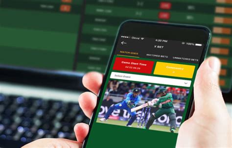 how to online cricket betting